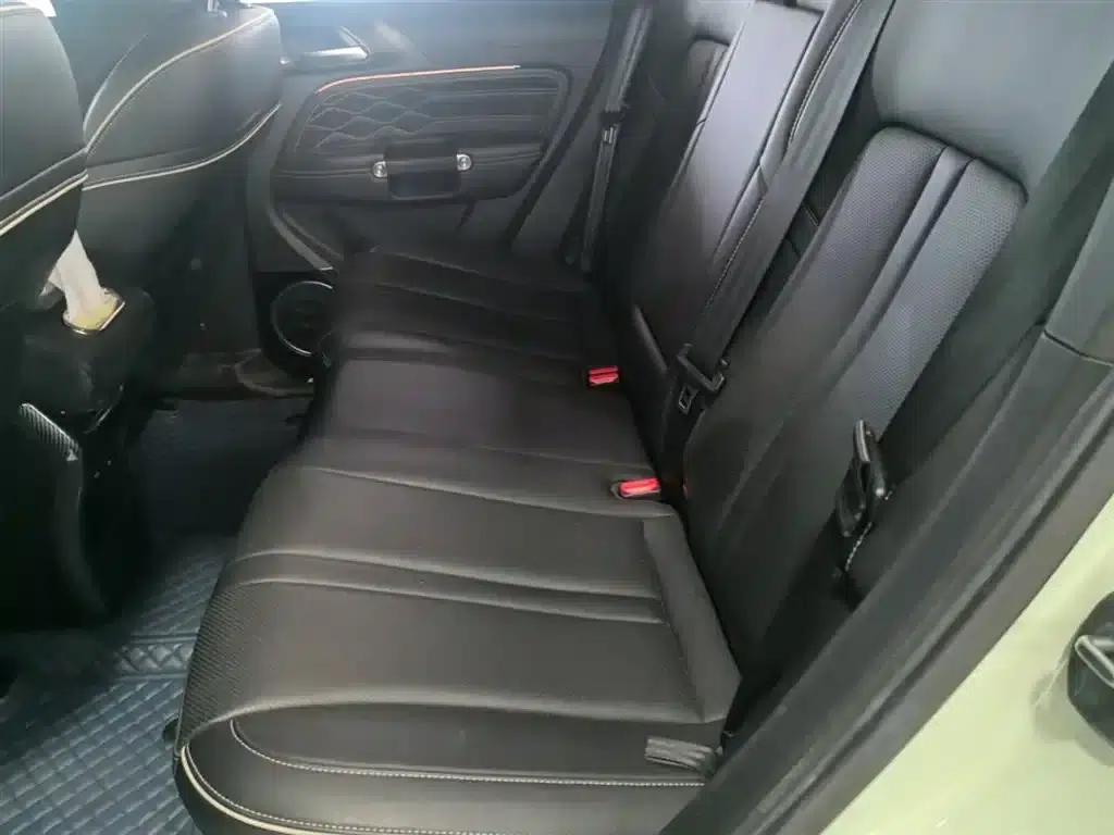 The 2023 Tank 300 City Edition 2.0T is very stylish. — миниатюра 17