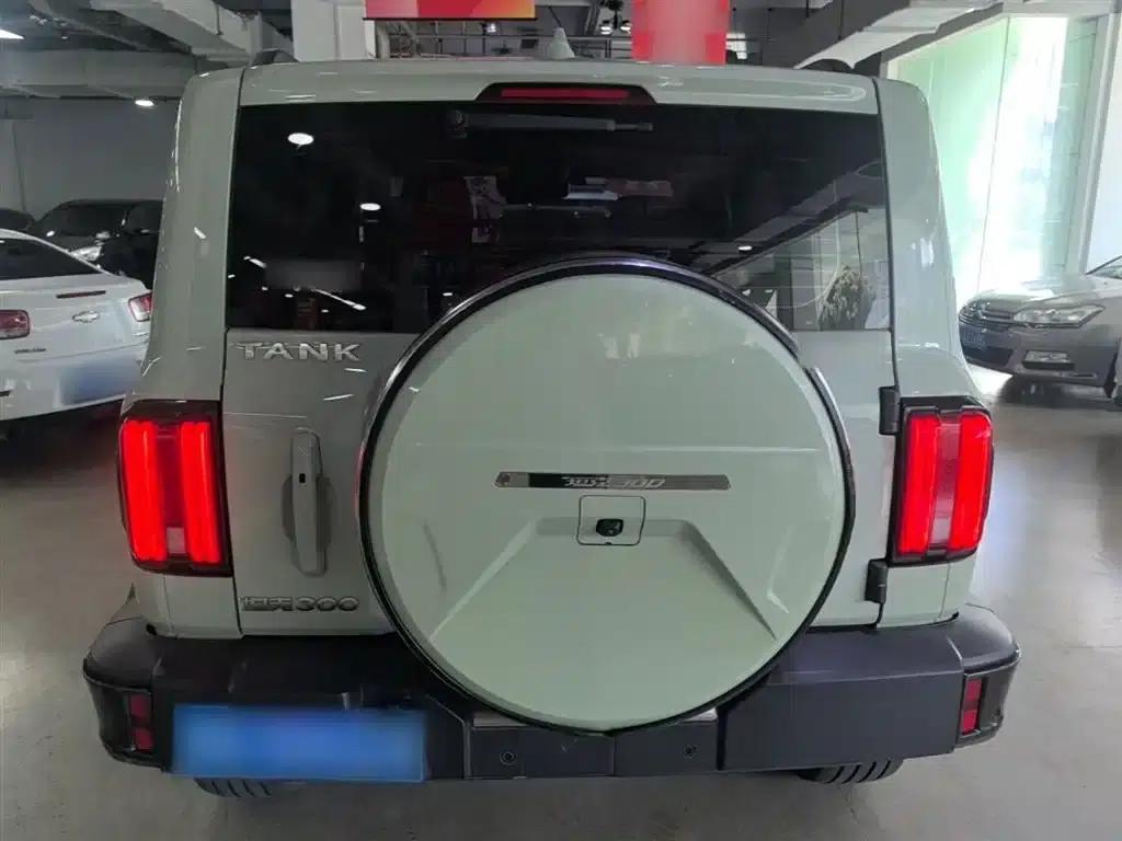 The 2023 Tank 300 City Edition 2.0T is very stylish. — миниатюра 6