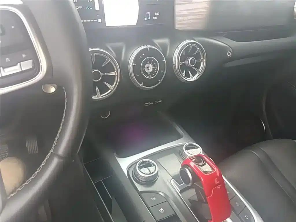 The 2021 Tank 300 City Edition 2.0T is very stylish. — миниатюра 13