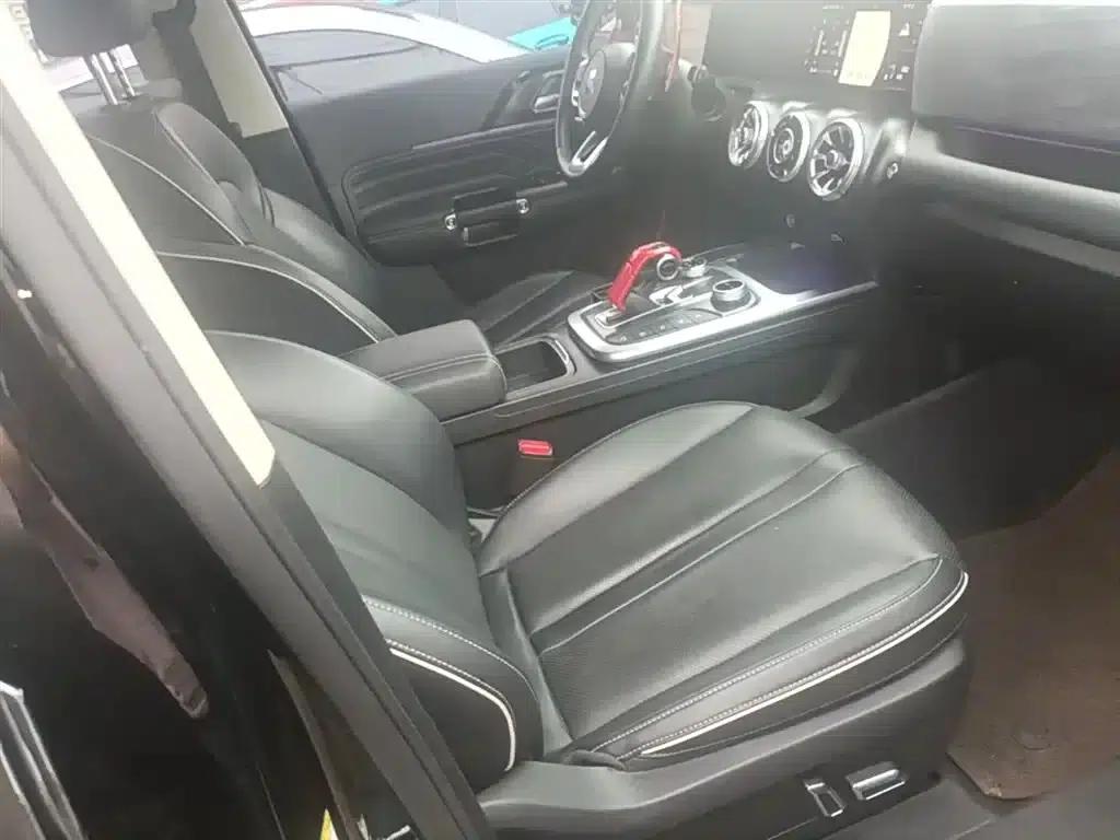 The 2021 Tank 300 City Edition 2.0T is very stylish. — миниатюра 25