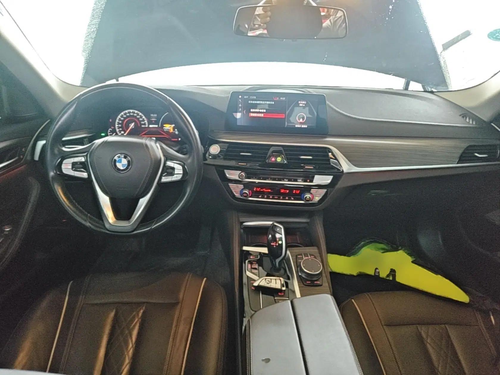 BMW 5 Series New Energy 2019 Updated Version 530Le Luxury Package — миниатюра 13