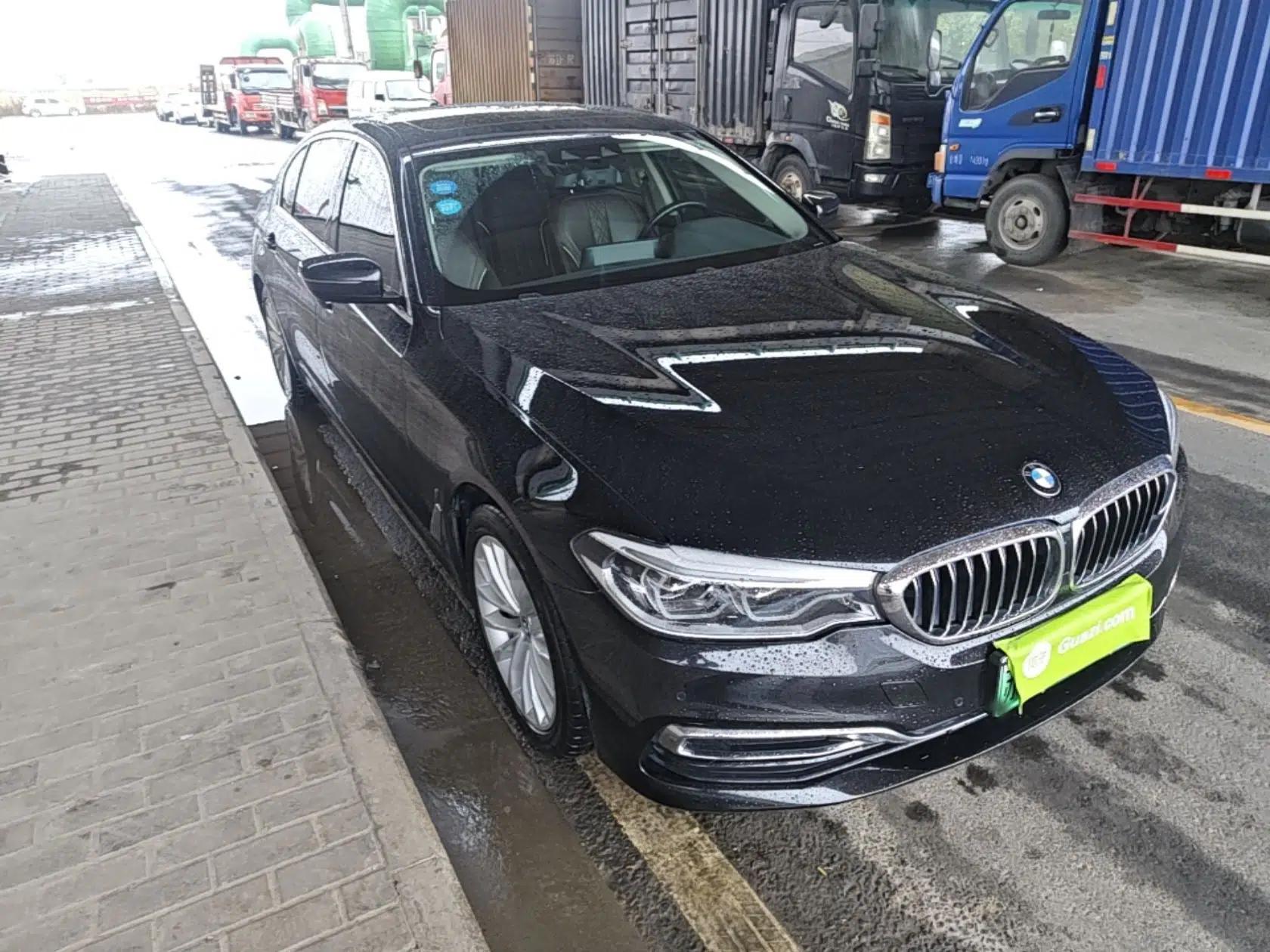BMW 5 Series New Energy 2019 Updated Version 530Le Luxury Package — миниатюра 3
