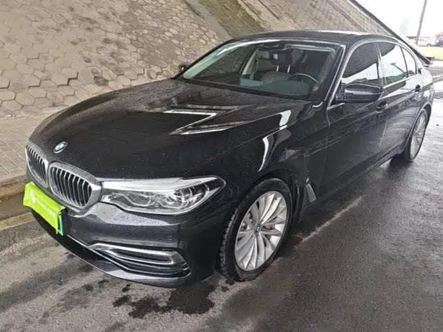 BMW 5 Series New Energy 2019 Updated Version 530Le Luxury Package