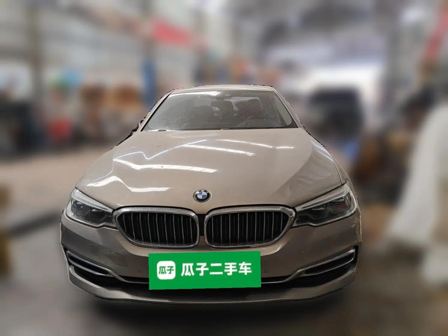 BMW 5 Series New Energy 2019 Updated Version 530Le Luxury Package — миниатюра 2