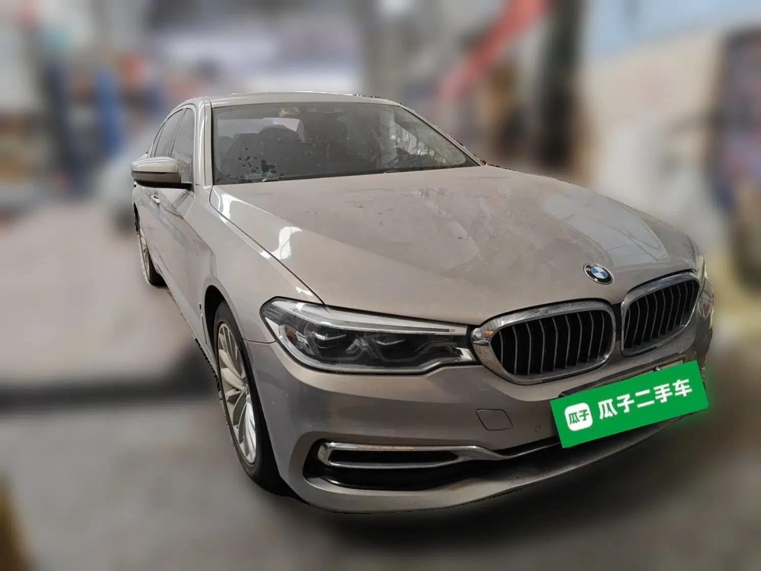 BMW 5 Series New Energy 2019 Updated Version 530Le Luxury Package — миниатюра 3