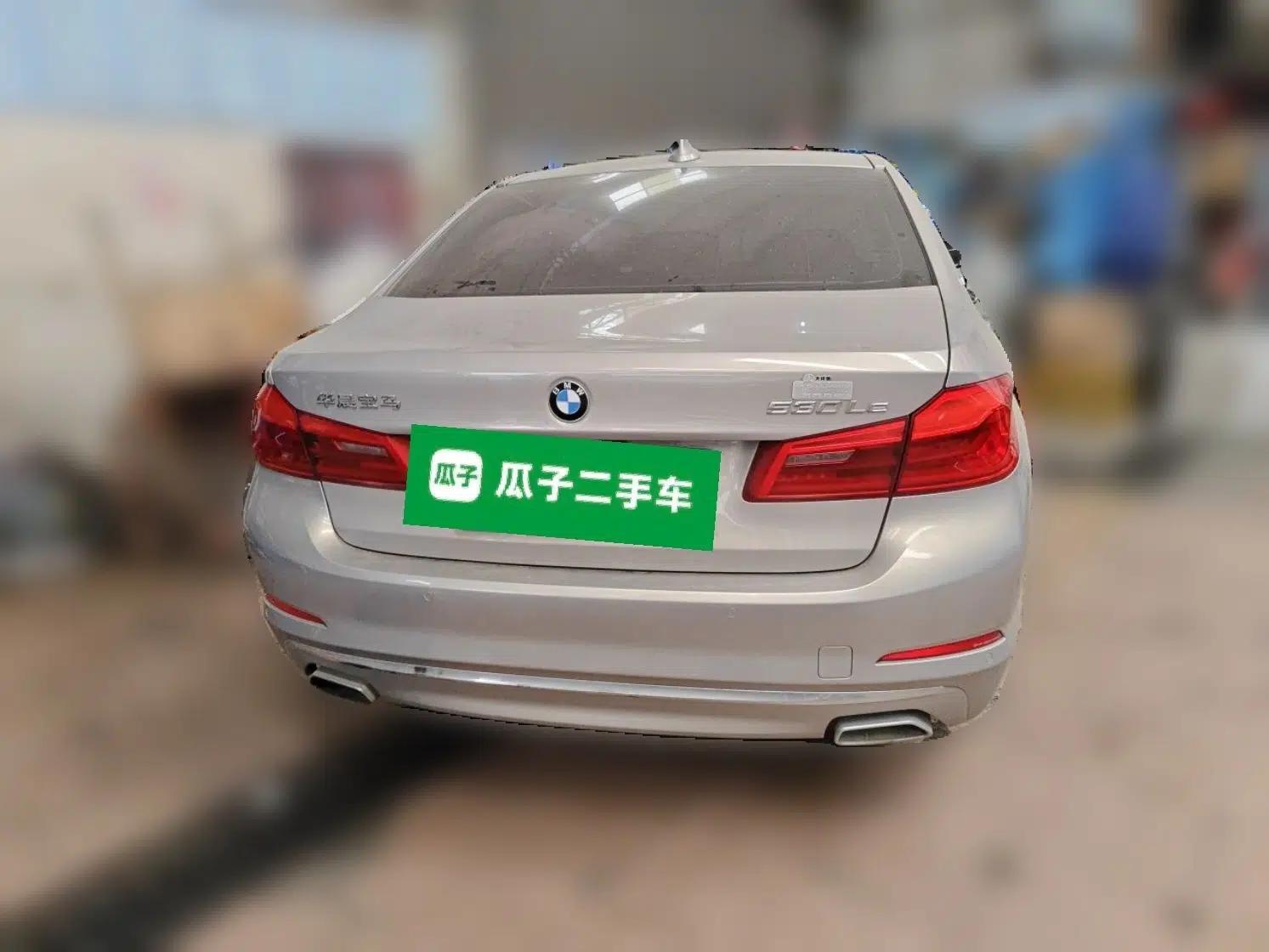 BMW 5 Series New Energy 2019 Updated Version 530Le Luxury Package — миниатюра 5