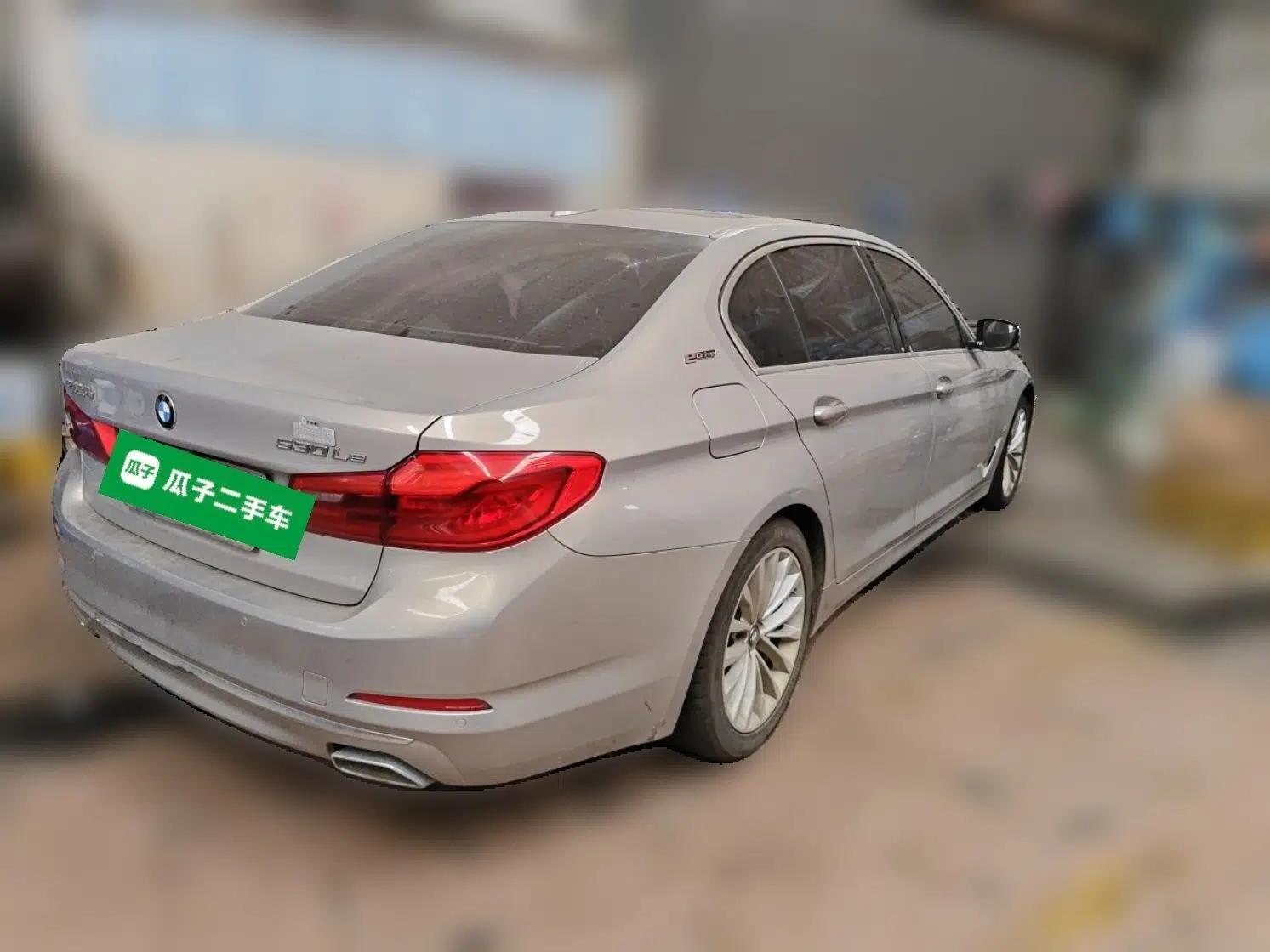 BMW 5 Series New Energy 2019 Updated Version 530Le Luxury Package — миниатюра 6