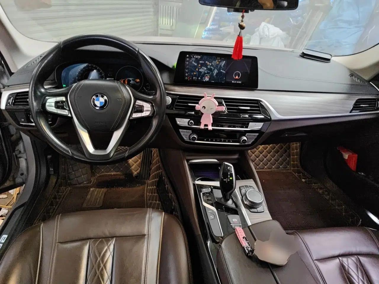 BMW 5 Series New Energy 2019 Updated Version 530Le Luxury Package — миниатюра 10