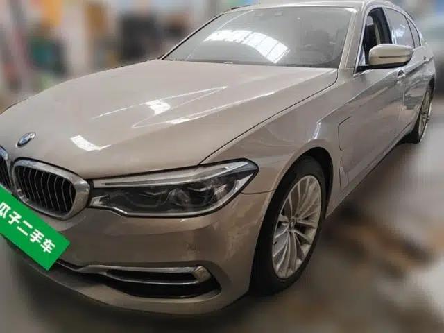 BMW 5 Series New Energy 2019 Updated Version 530Le Luxury Package
