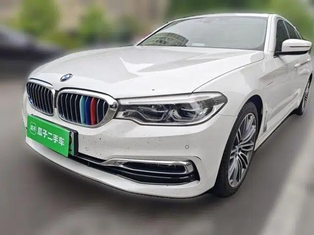 BMW 5 Series New Energy 2019 530Le Luxury Package