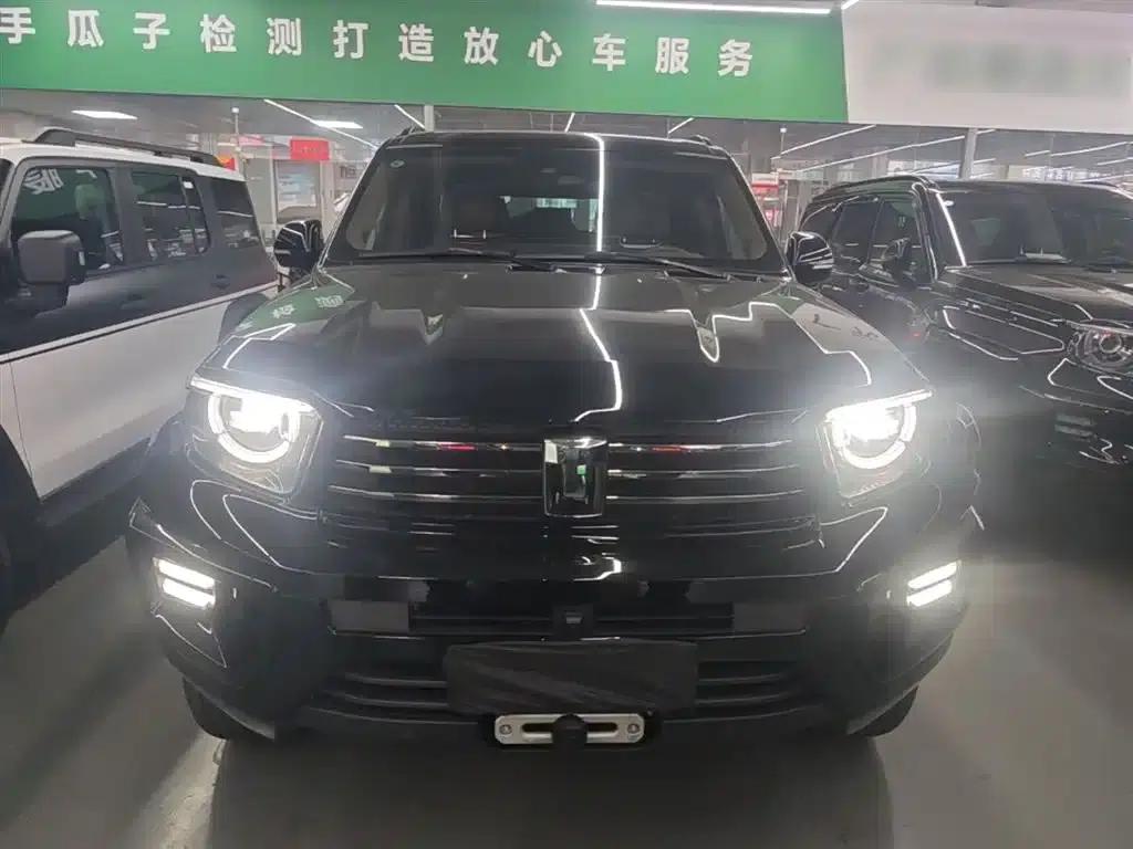 Tank 700 New Energy 2024 Hi4-T Extreme Edition — миниатюра 3