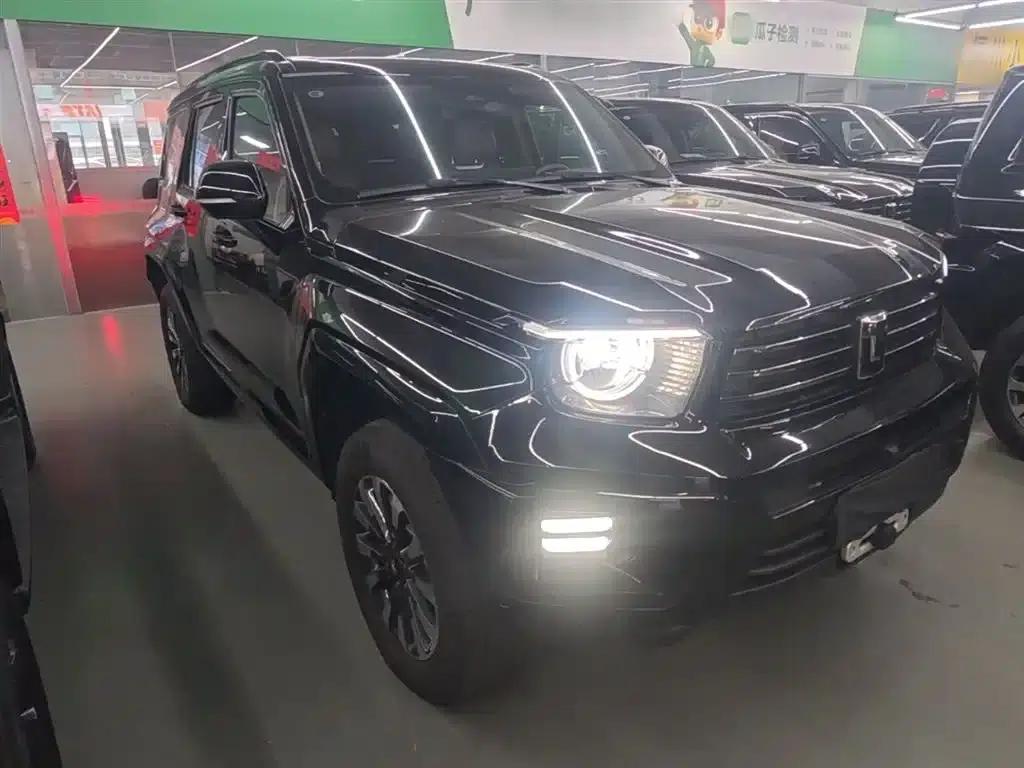Tank 700 New Energy 2024 Hi4-T Extreme Edition — миниатюра 4