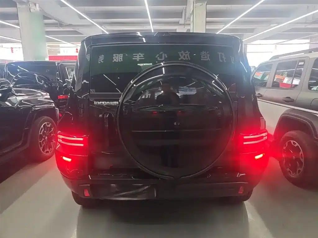 Tank 700 New Energy 2024 Hi4-T Extreme Edition — миниатюра 6