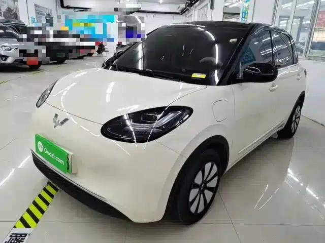 Wuling Bingo 2025 Model, 333km Range, Enjoy Edition