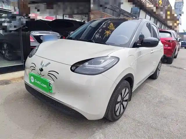 Wuling Bingo 2024 Model, 333km Range, Enjoy Edition