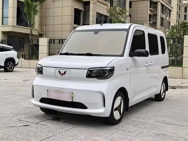 Wuling Sunshine New Energy 2025 Model 201km Standard Edition