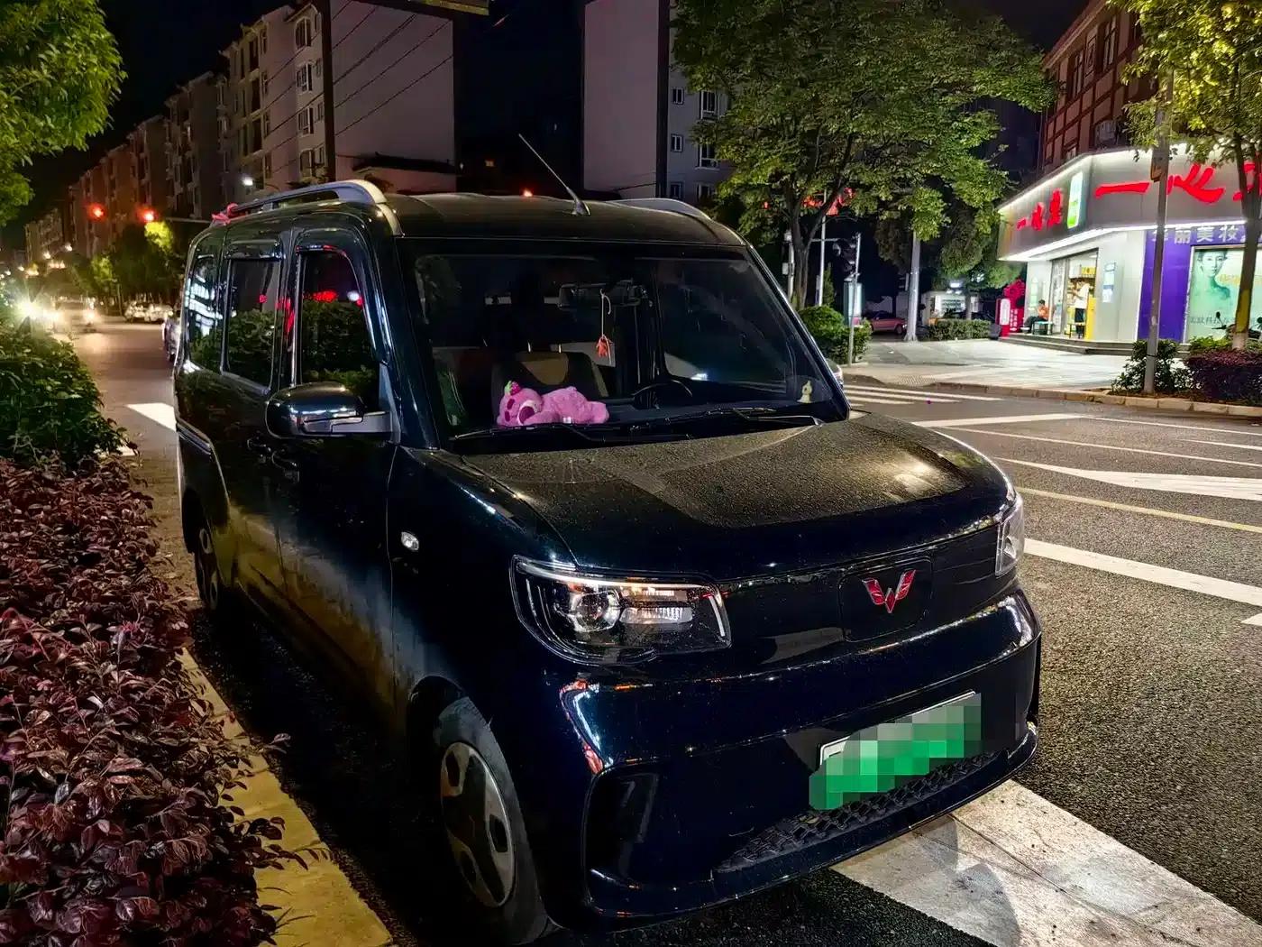 Wuling Sunshine New Energy 2025 Model, 201km/h Comfort Edition — миниатюра 3