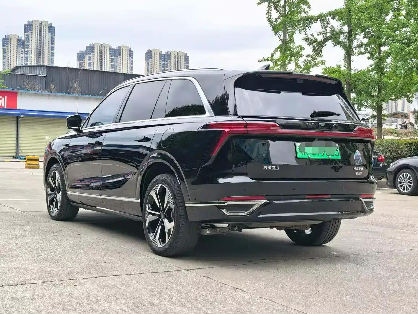Weipai Blue Mountain 2025 4WD Max — миниатюра 7