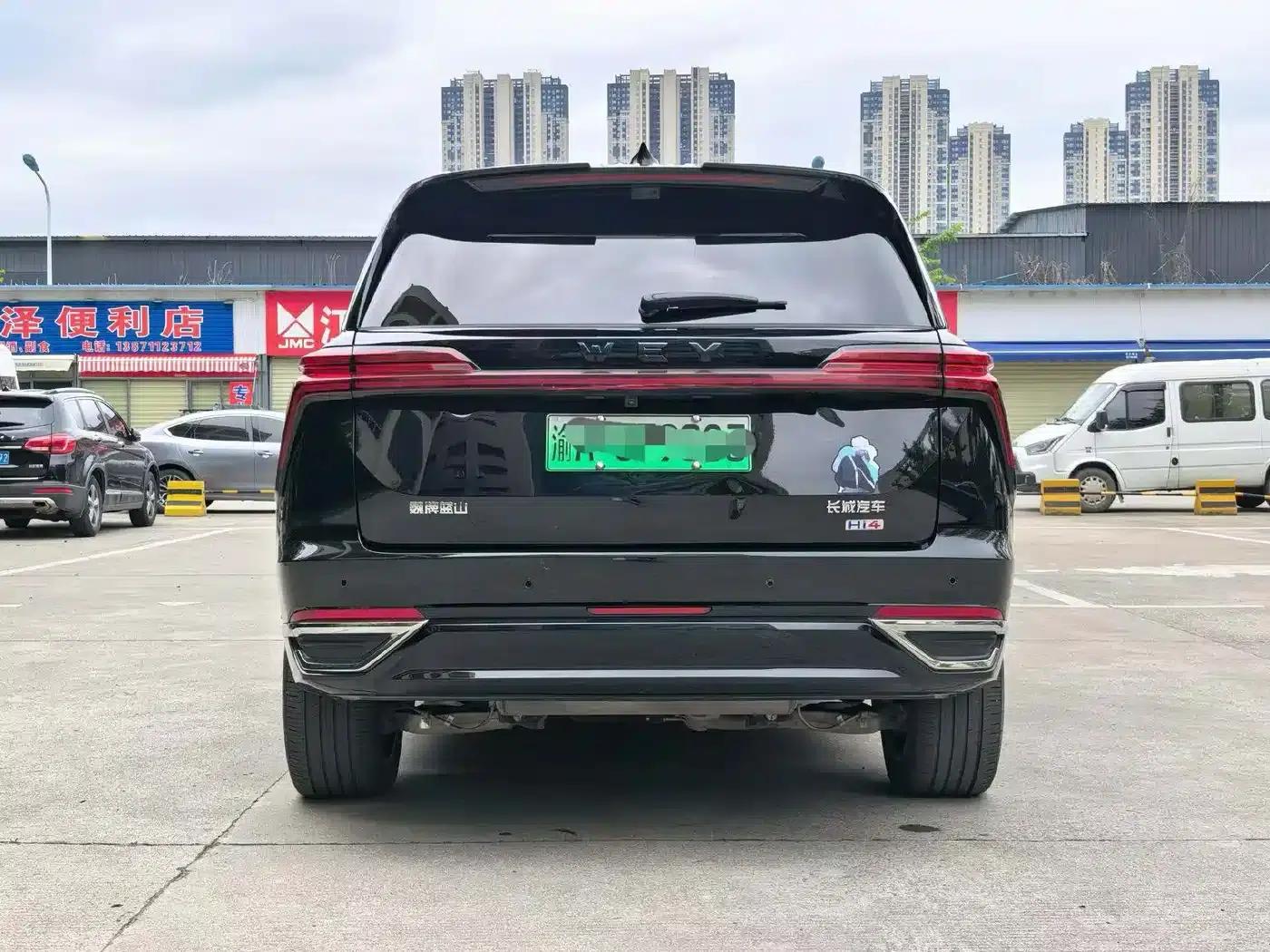 Weipai Blue Mountain 2025 4WD Max — миниатюра 8