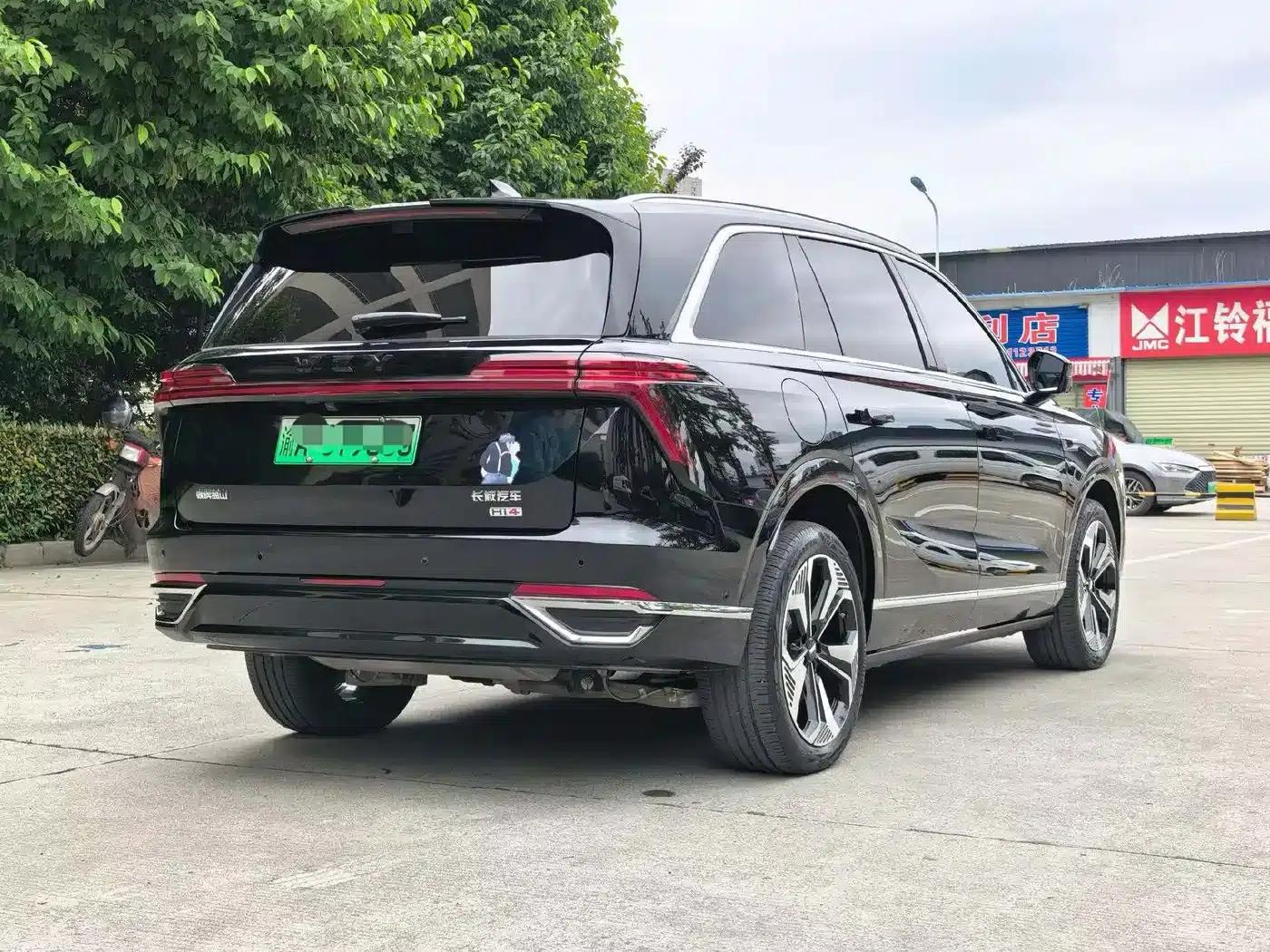Weipai Blue Mountain 2025 4WD Max — миниатюра 9