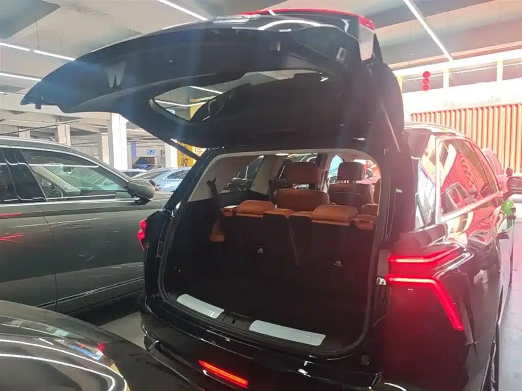 Weipai Blue Mountain 2025 4WD Max — миниатюра 19