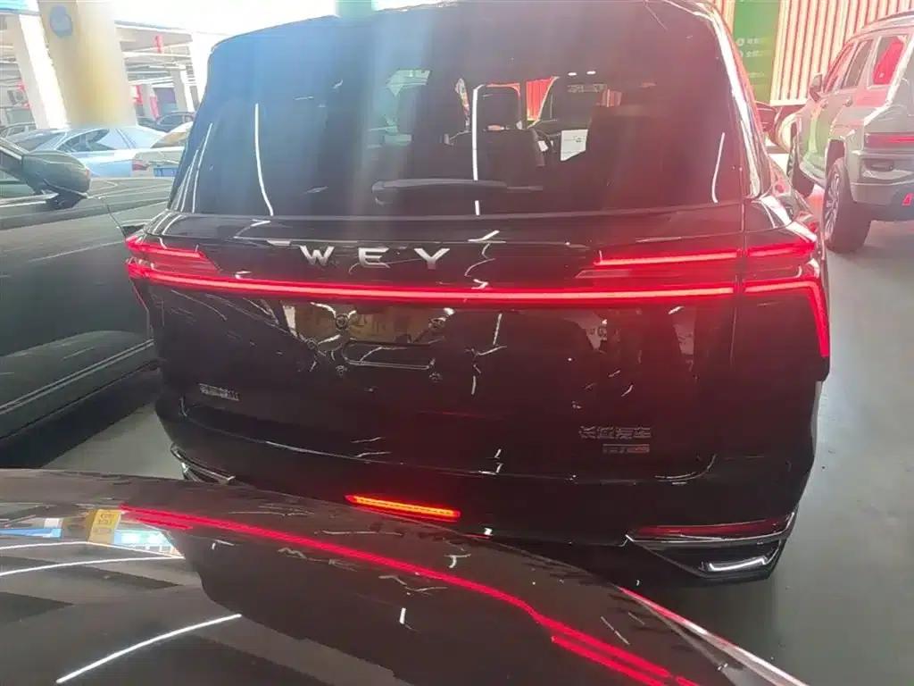 Weipai Blue Mountain 2025 4WD Max — миниатюра 6