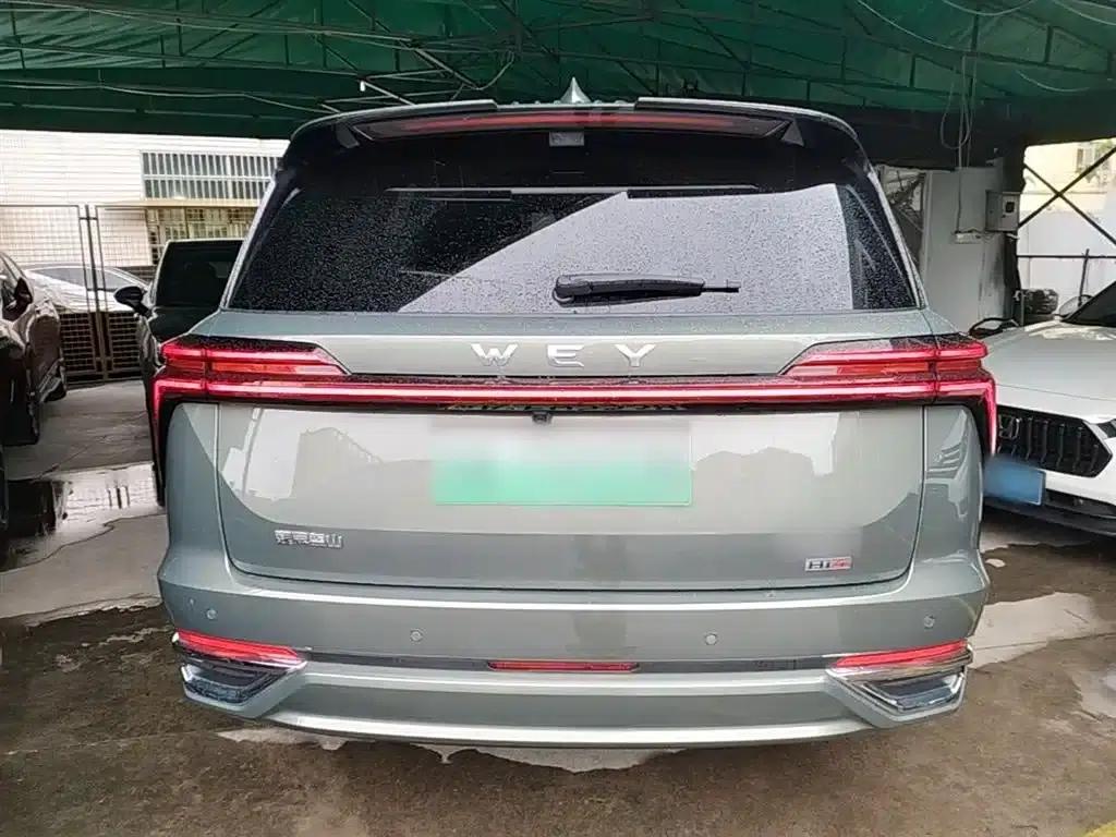 Weipai Blue Mountain 2025 4WD Max — миниатюра 6