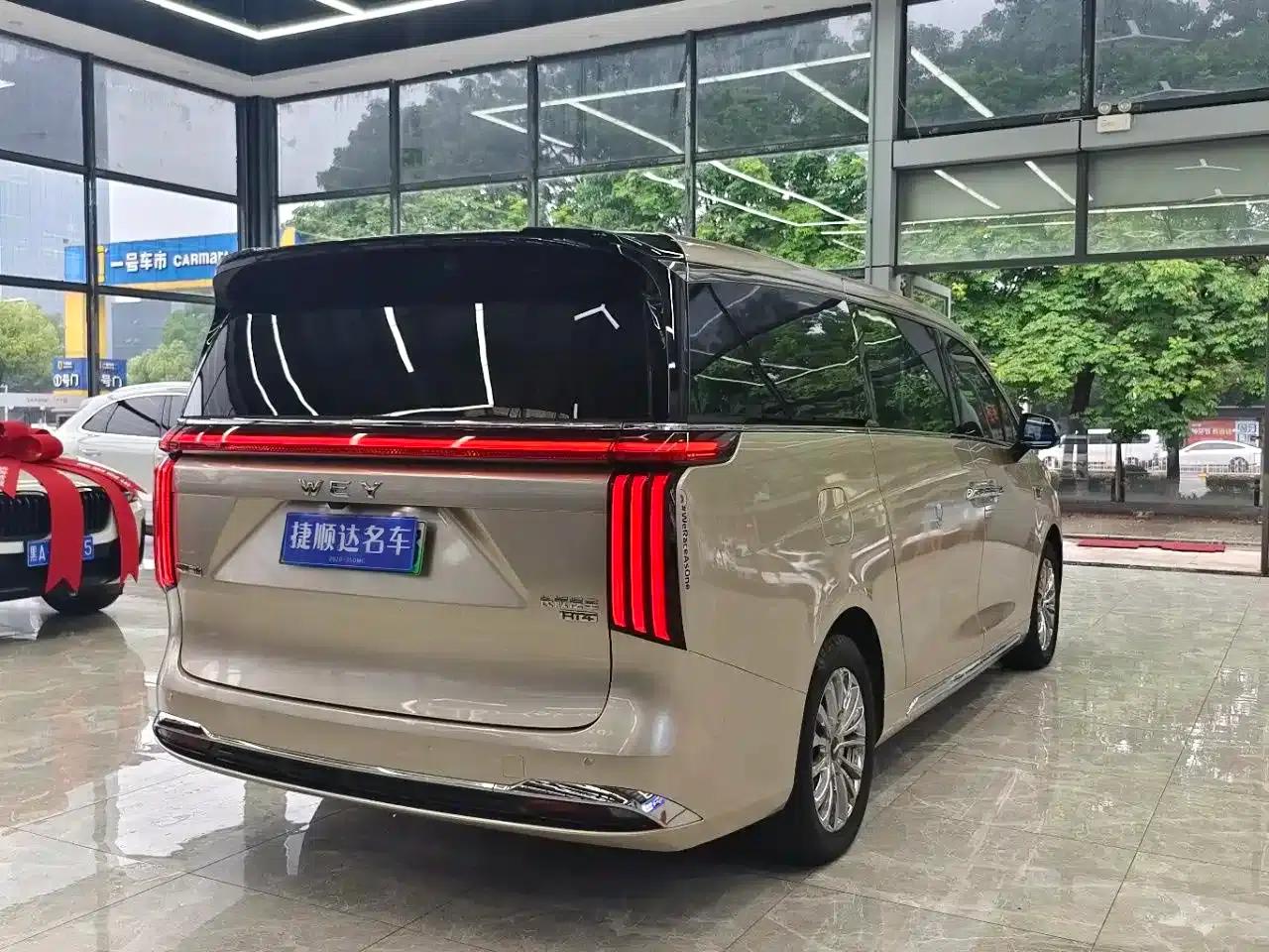 Weipai Gaoshan 2023 4WD Executive Extended Edition — миниатюра 21