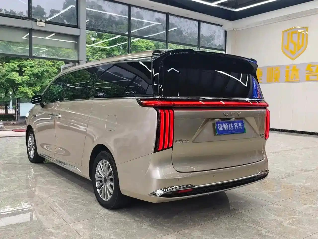 Weipai Gaoshan 2023 4WD Executive Extended Edition — миниатюра 23