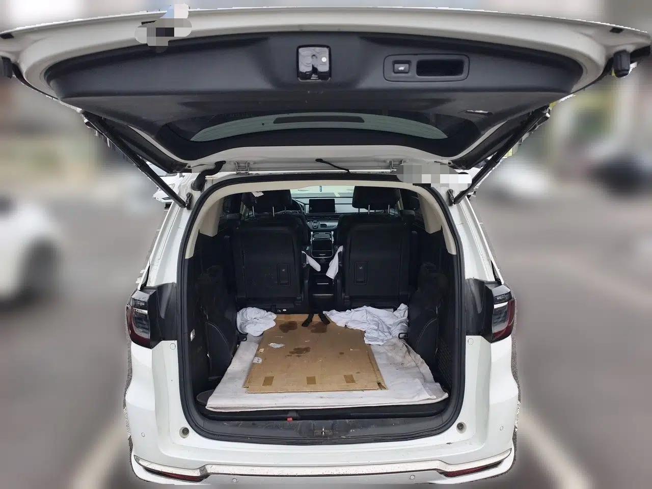 Honda Elysion 2022 2.0L eHEV Luxury First Edition — миниатюра 20