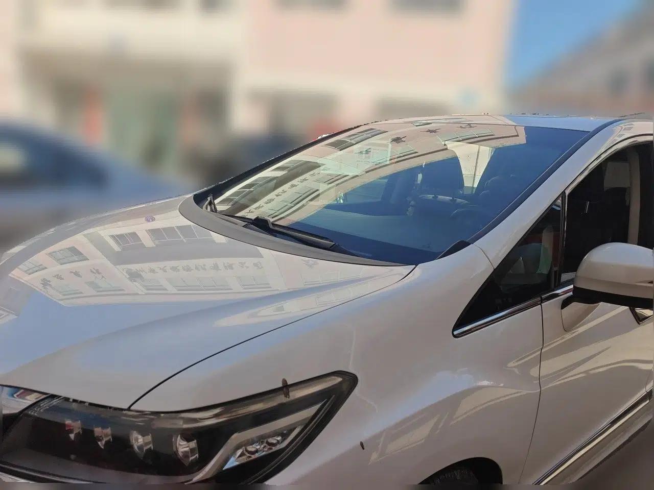 Honda Elysion 2016 2.4L Supreme Edition — миниатюра 1
