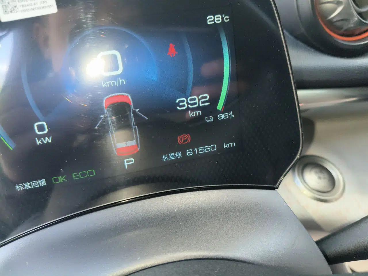 BYD Dolphin 2021 405 km Free Version — миниатюра 13