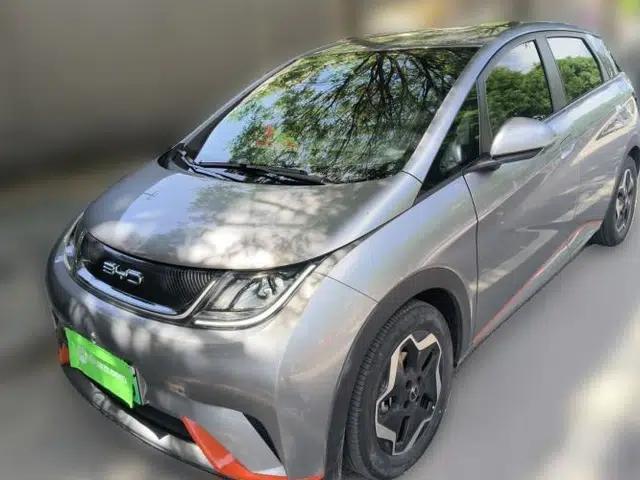 BYD Dolphin 2021 405 km Free Version