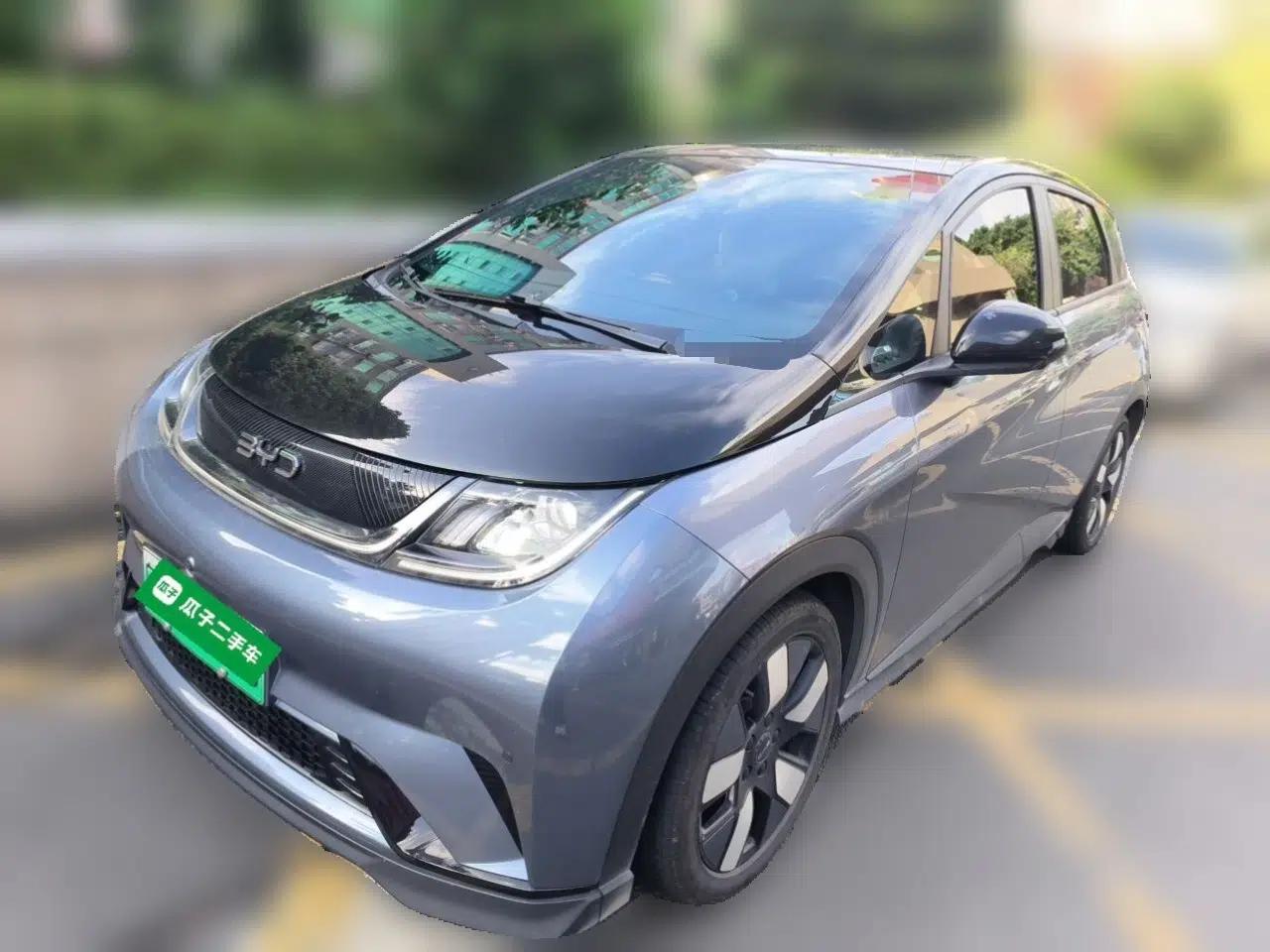 BYD Dolphin 2025 520km Range Knight Edition — миниатюра 1
