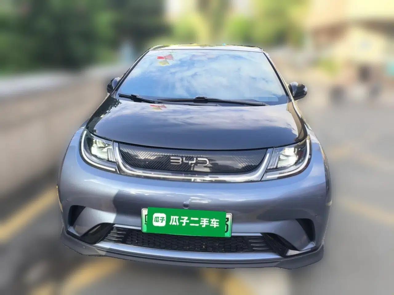 BYD Dolphin 2025 520km Range Knight Edition — миниатюра 2