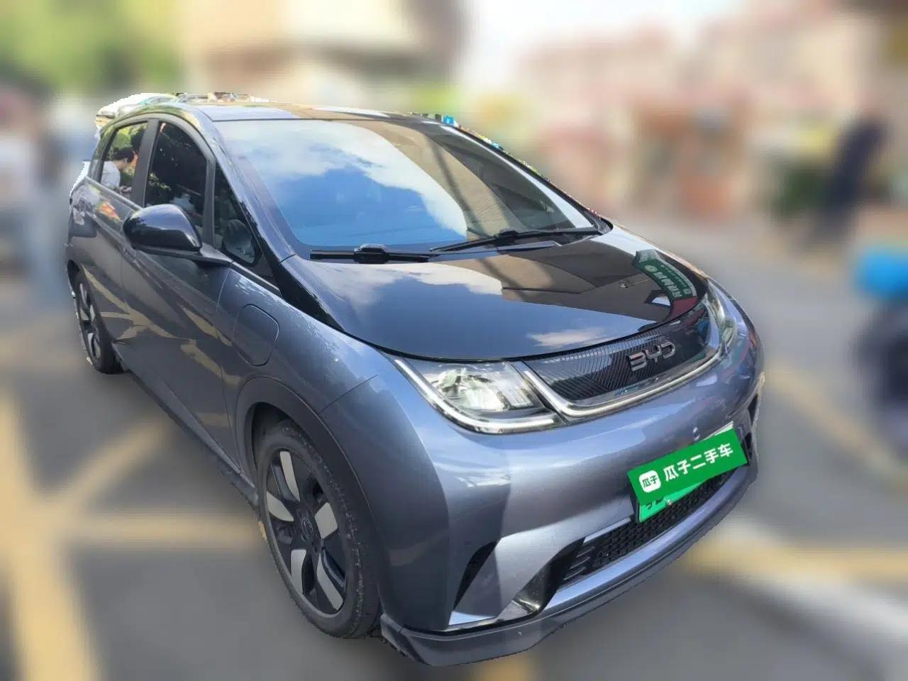BYD Dolphin 2025 520km Range Knight Edition — миниатюра 3