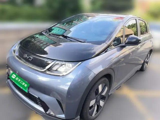 BYD Dolphin 2025 520km Range Knight Edition