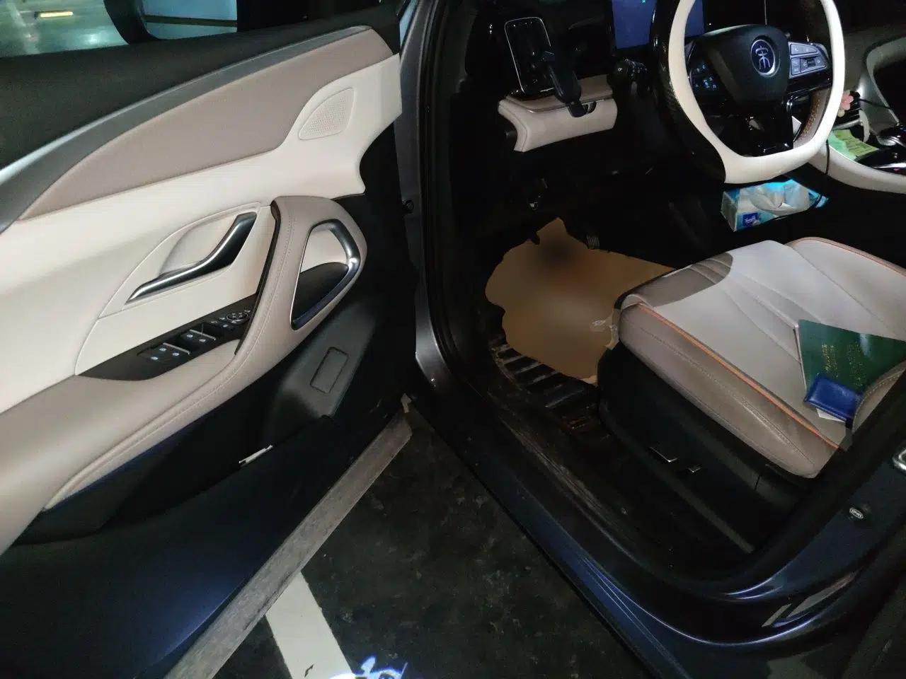 BYD Song Pro New Energy 2023 Champion Edition DM-i 110KM Beyond Model — миниатюра 17