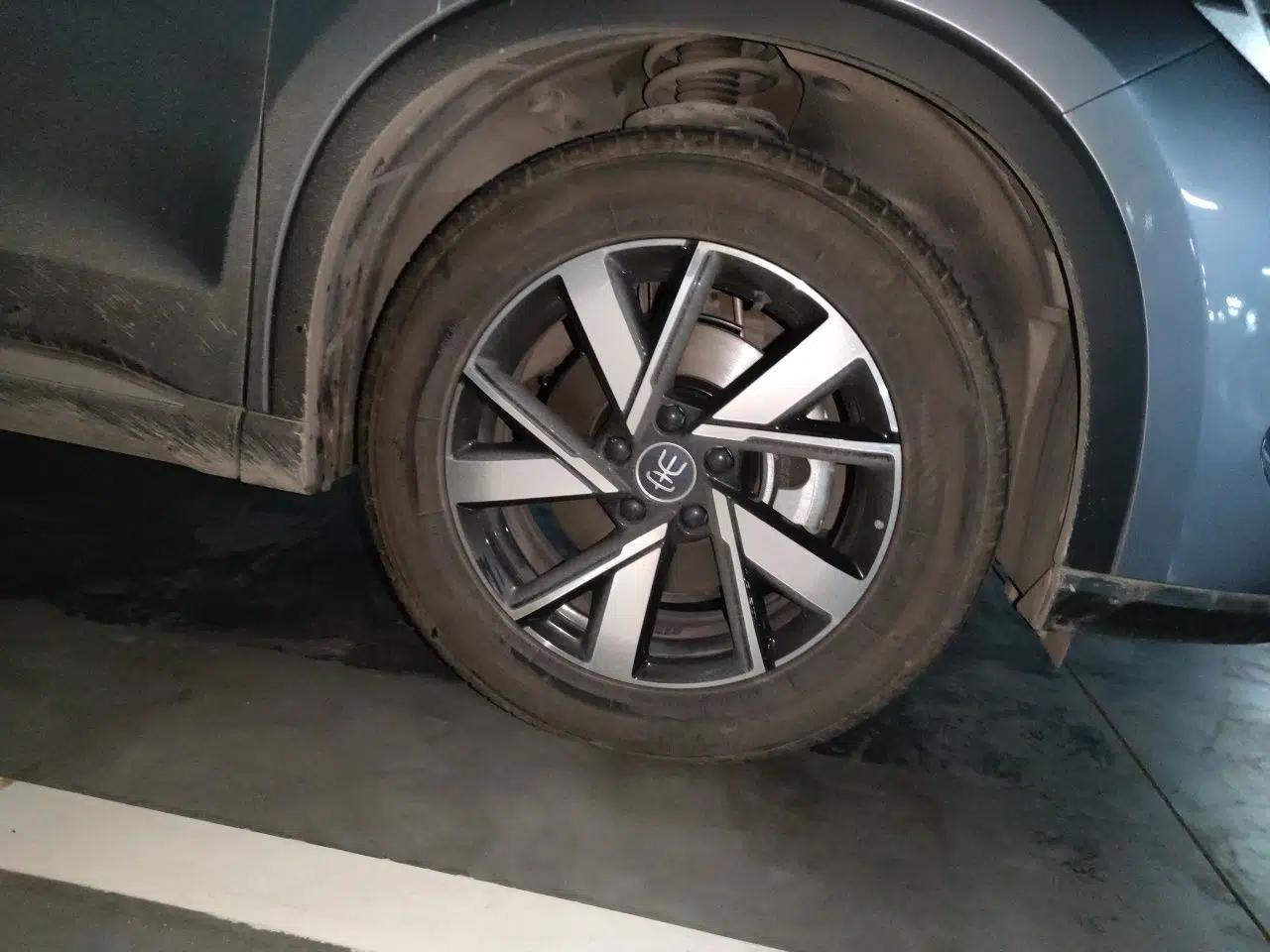 BYD Song Pro New Energy 2023 Champion Edition DM-i 110KM Beyond Model — миниатюра 8