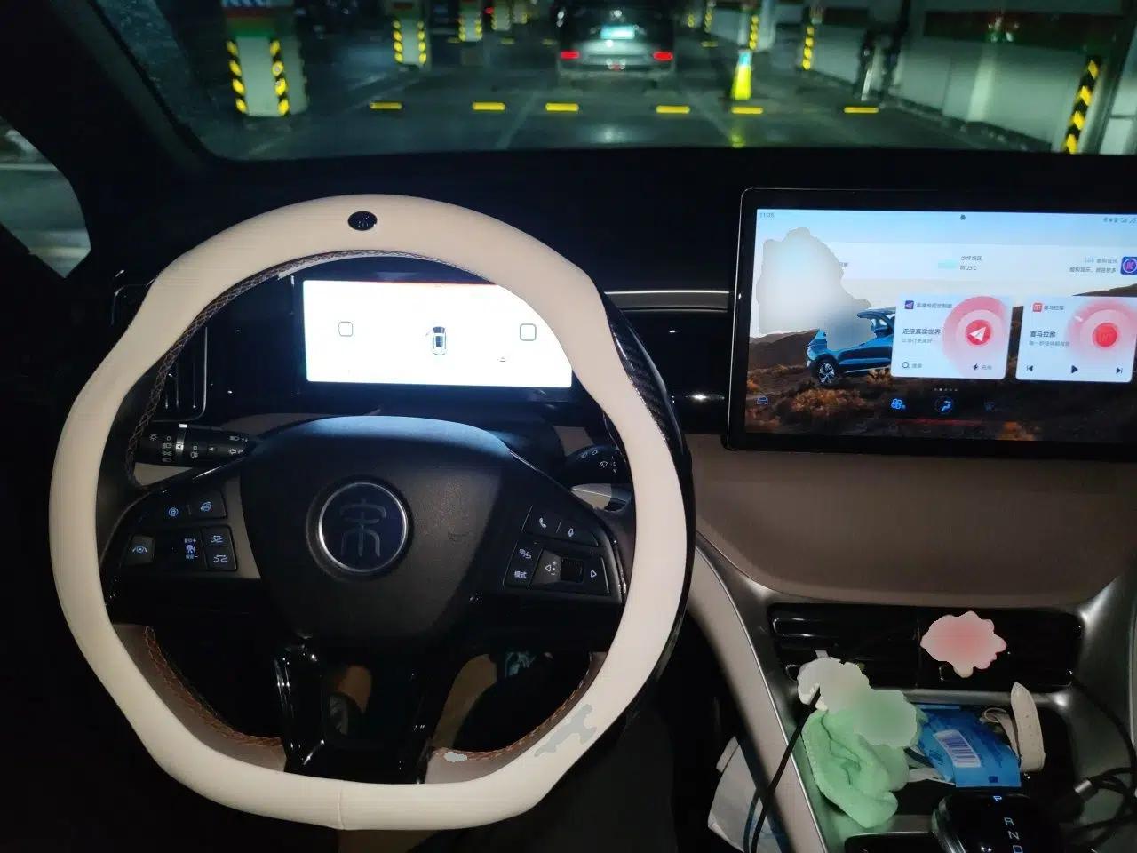 BYD Song Pro New Energy 2023 Champion Edition DM-i 110KM Beyond Model — миниатюра 10