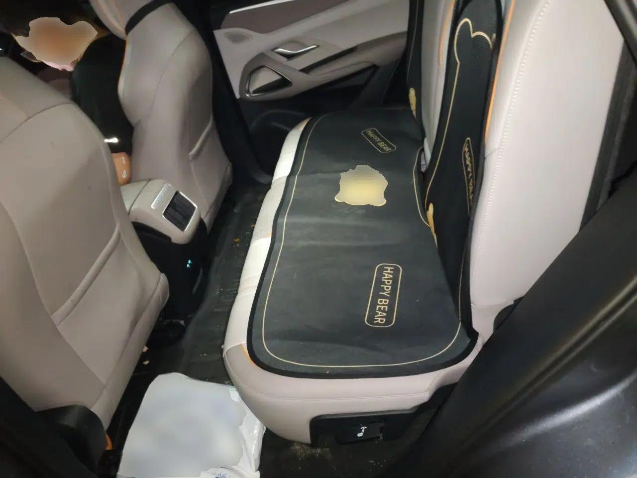 BYD Song Pro New Energy 2024 HONOR Edition DM-i 110KM Beyond Model — миниатюра 18