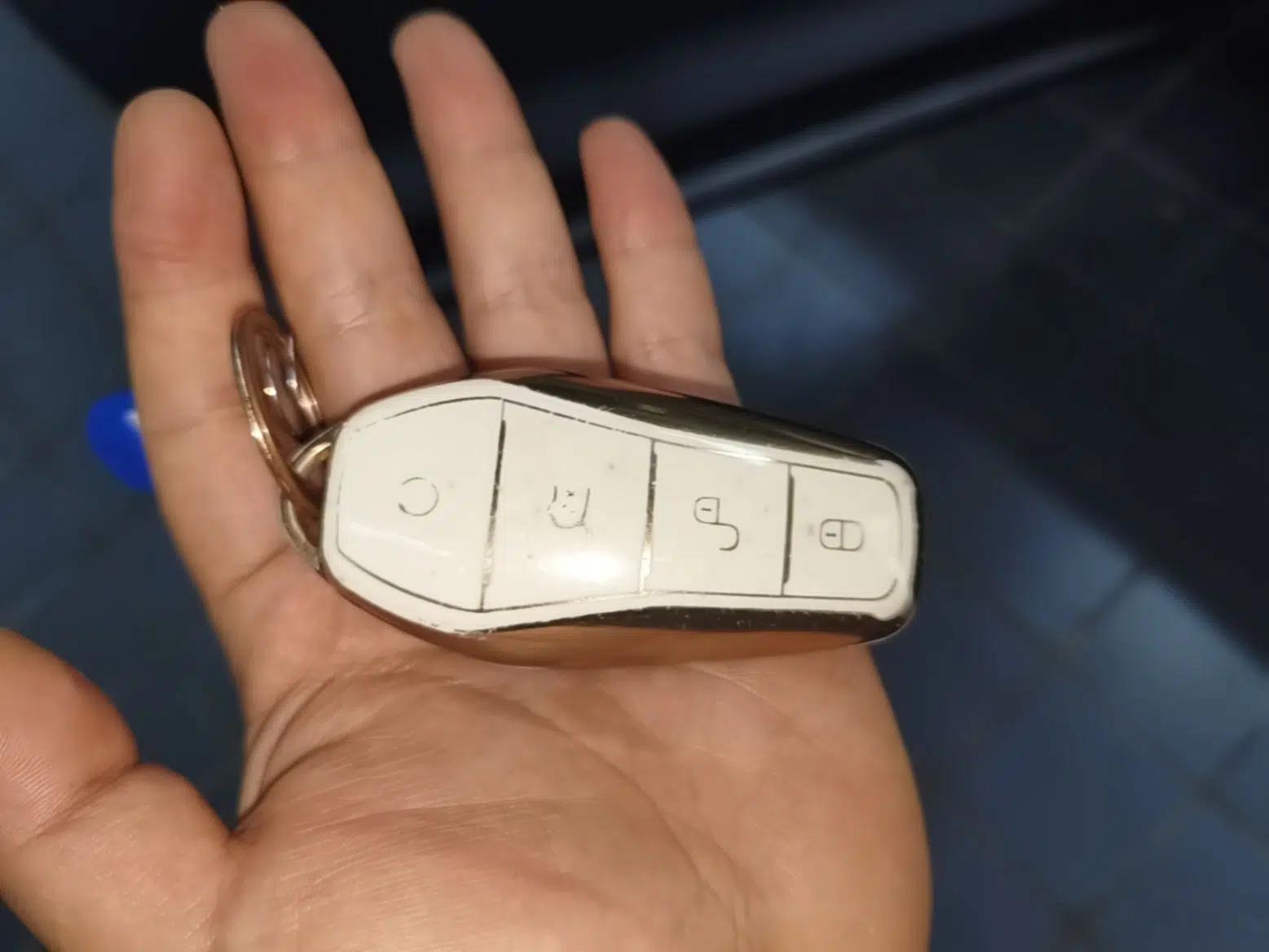 BYD Song Pro New Energy 2024 HONOR Edition DM-i 110KM Beyond Model — миниатюра 12