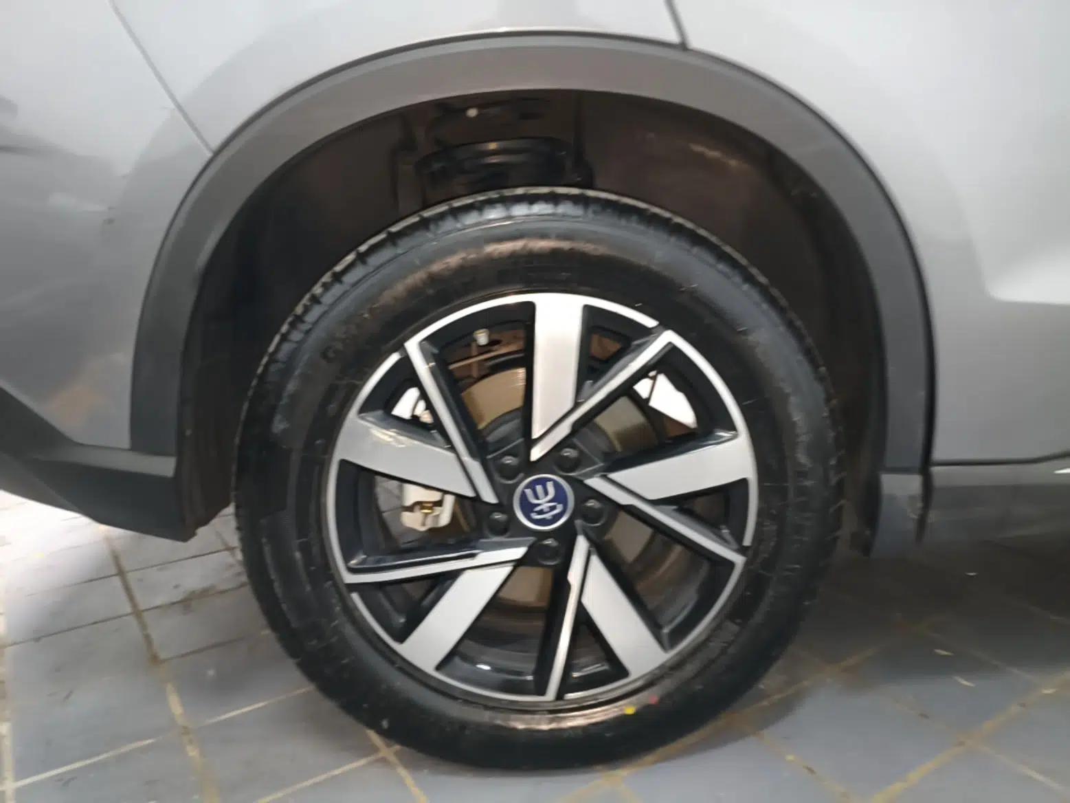 BYD Song Pro New Energy 2024 HONOR Edition DM-i 110KM Beyond Model — миниатюра 10