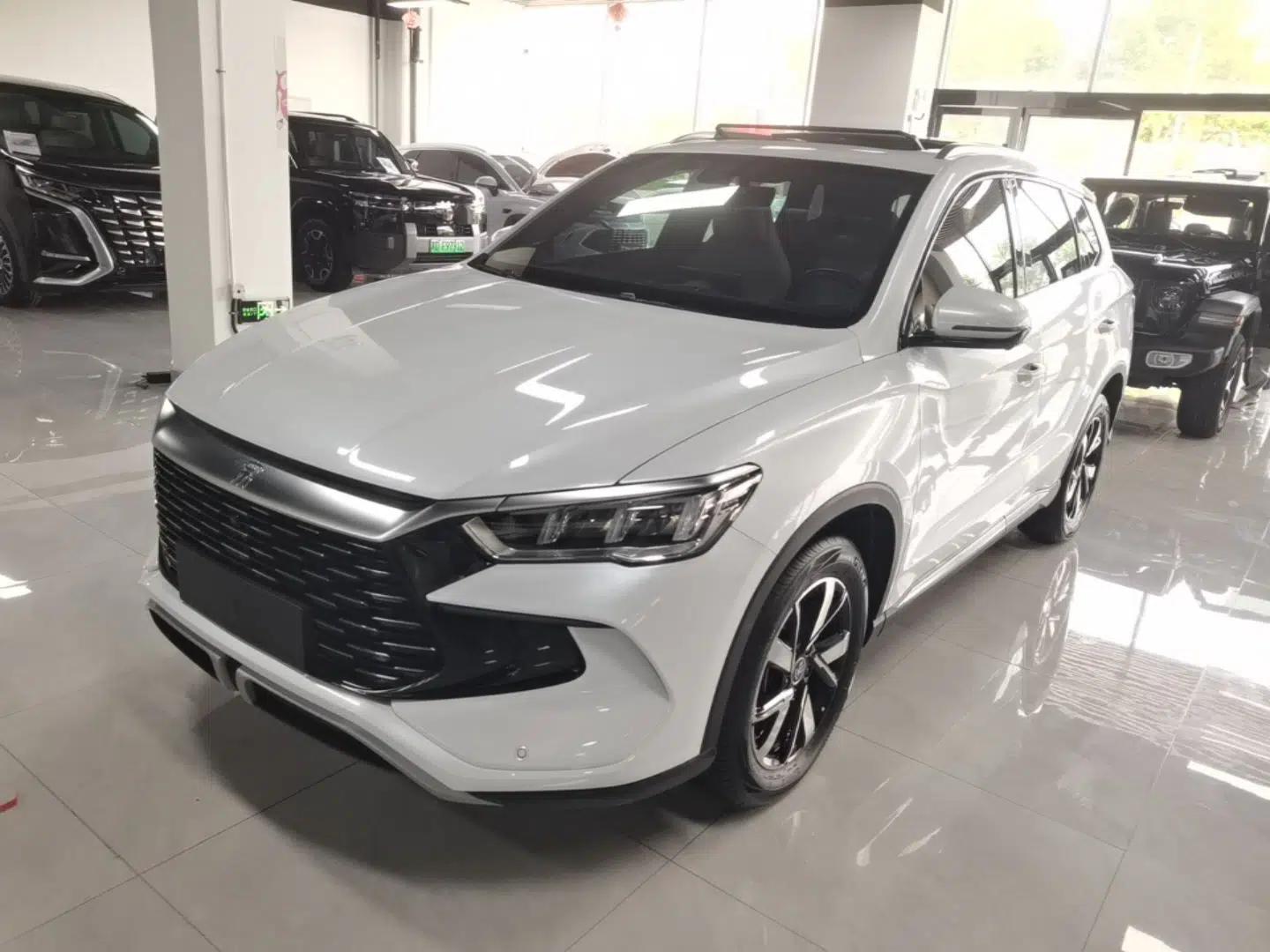 BYD Song Pro New Energy 2023 Champion Edition DM-i 71KM Leading Model — миниатюра 1