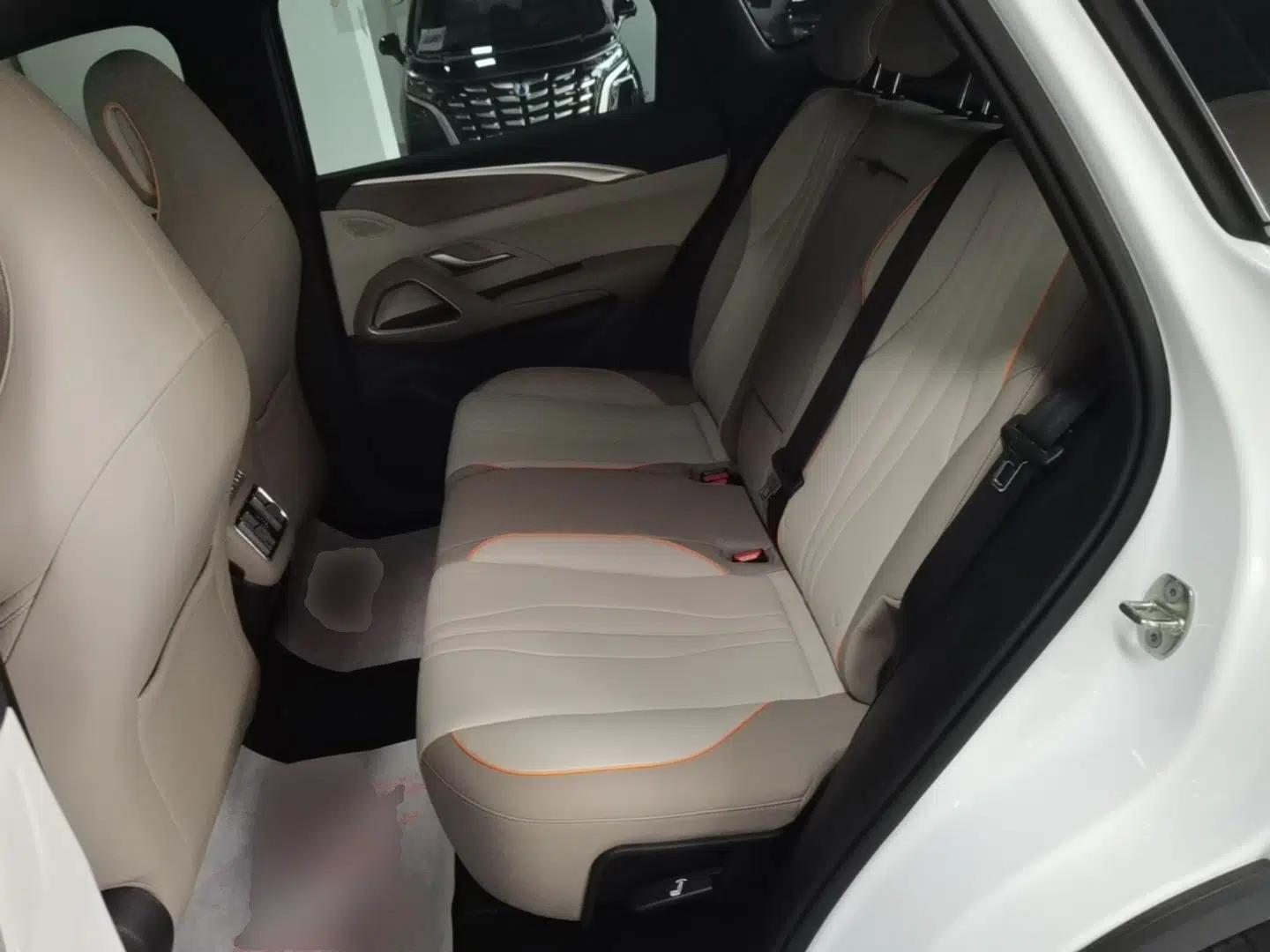BYD Song Pro New Energy 2023 Champion Edition DM-i 71KM Leading Model — миниатюра 19
