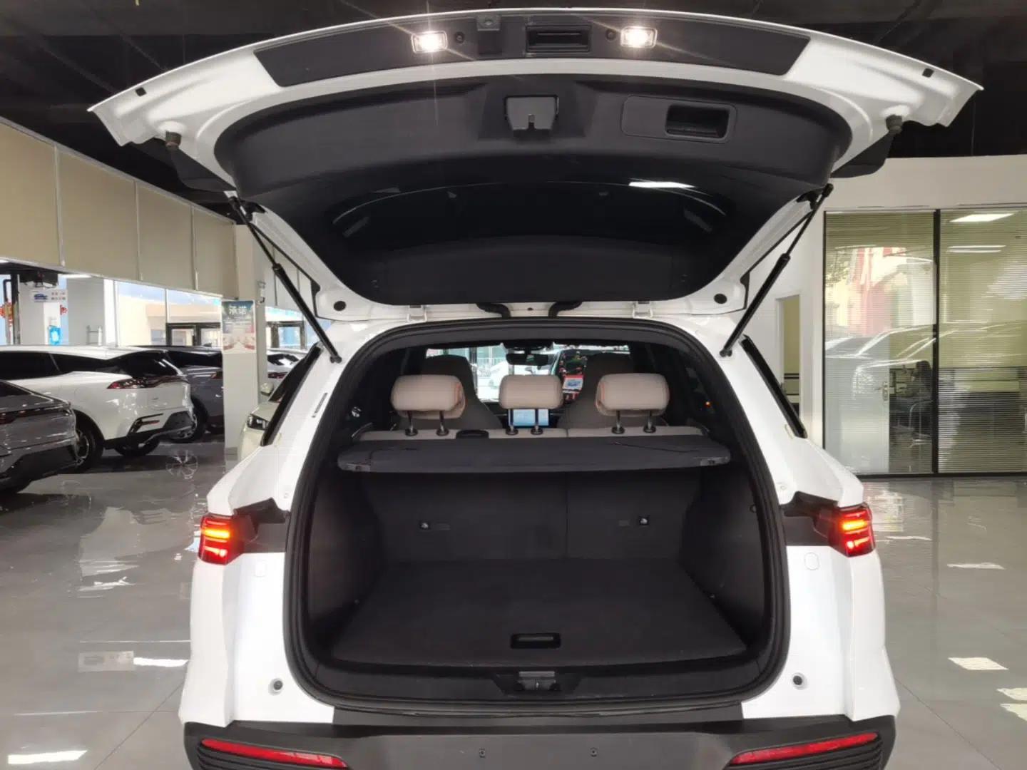 BYD Song Pro New Energy 2023 Champion Edition DM-i 71KM Leading Model — миниатюра 21