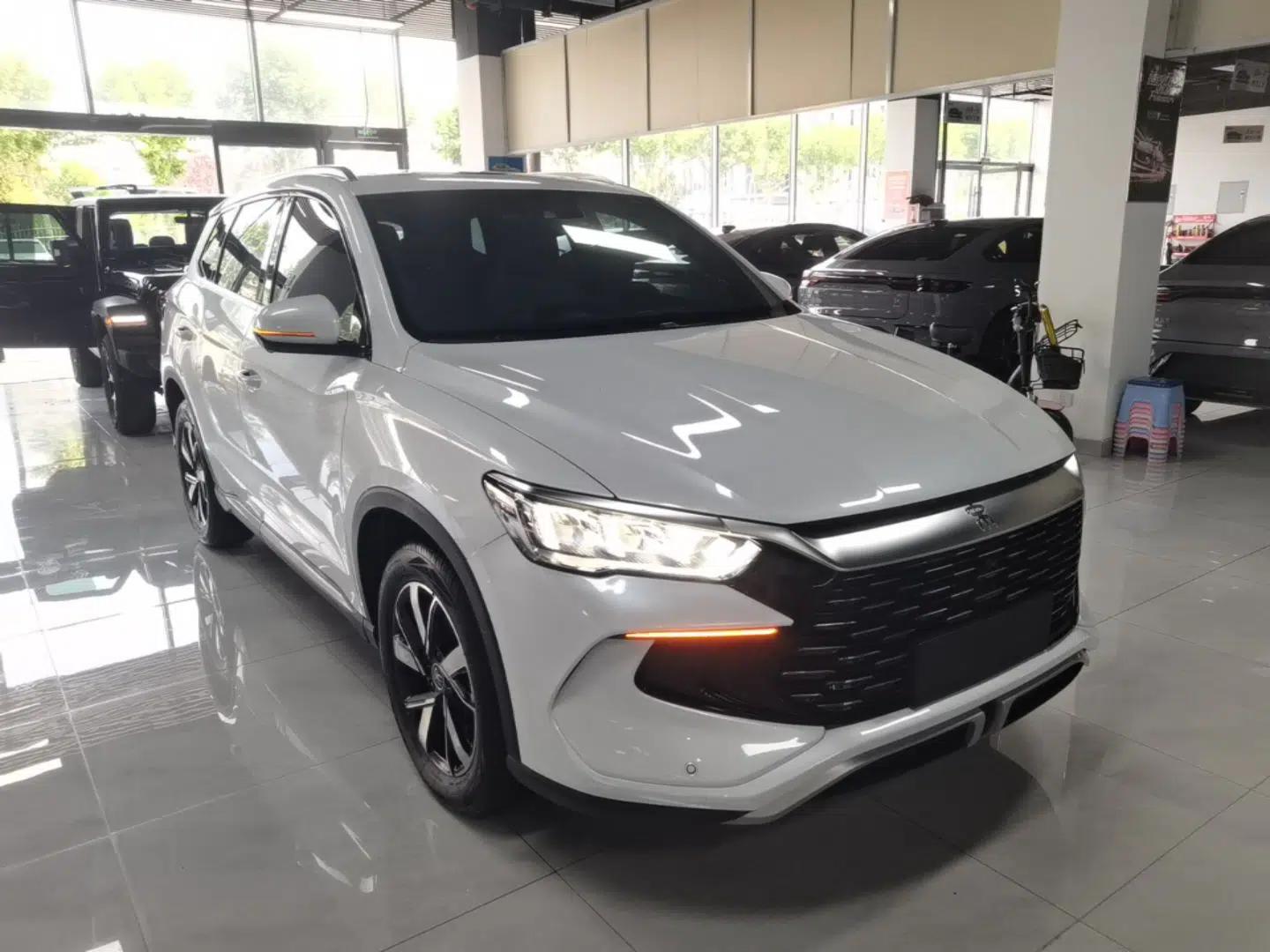 BYD Song Pro New Energy 2023 Champion Edition DM-i 71KM Leading Model — миниатюра 6