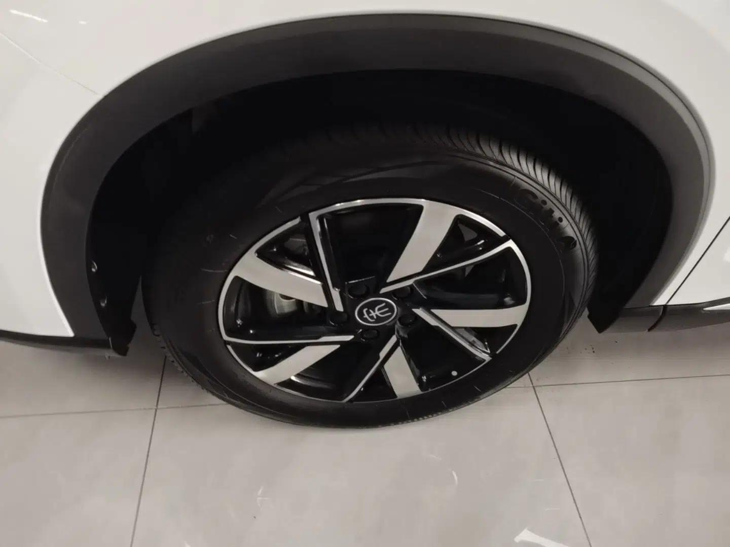 BYD Song Pro New Energy 2023 Champion Edition DM-i 71KM Leading Model — миниатюра 9