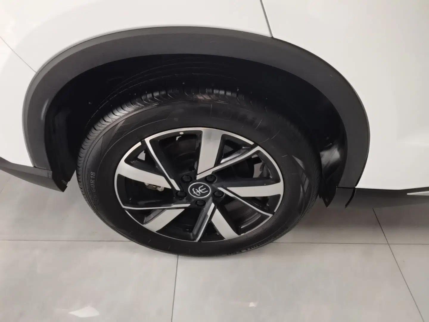 BYD Song Pro New Energy 2023 Champion Edition DM-i 71KM Leading Model — миниатюра 10