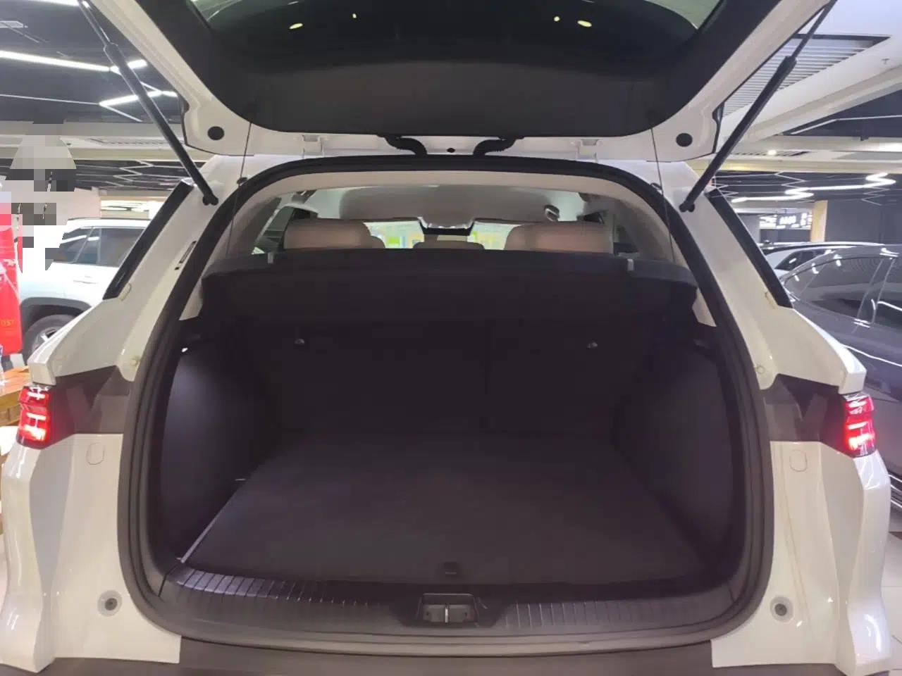 BYD Song Pro New Energy 2025 Second-Generation DM-i 75KM Leading Edition — миниатюра 22